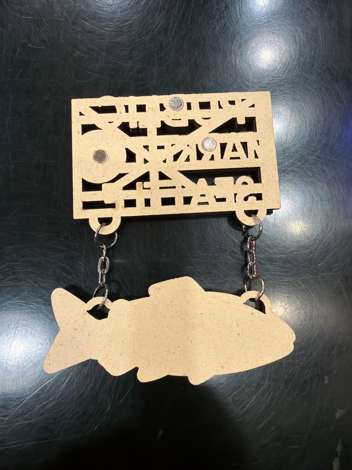 Public Fish Magnet Seattle